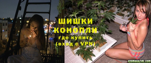 винт Осташков