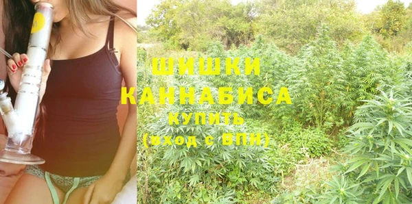 винт Осташков