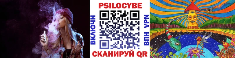 гидра ТОР  даркнет сайт  Братск  Галлюциногенные грибы Psilocybe 