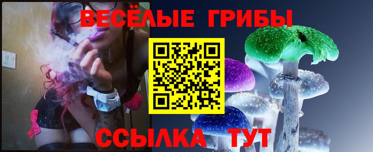 Галлюциногенные грибы Cubensis  Вход с VPN  наркотики  Братск 